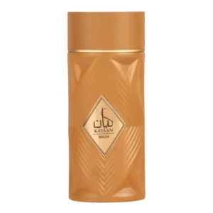 Kayaan Brun EDP Armaf Men 100ml